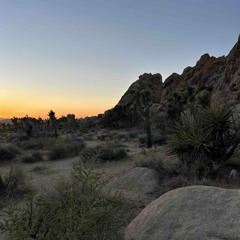 Sunset Serotonin