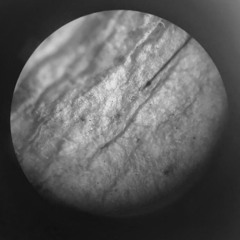 ˚₊‧꒰ა☆ambient-hada☆3໒꒱ ‧₊˚demo⋆ ｡⋆୨୧˚zoni_K˖ ࣪. ࿐♡˚.