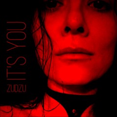 ZuDzu - It's You