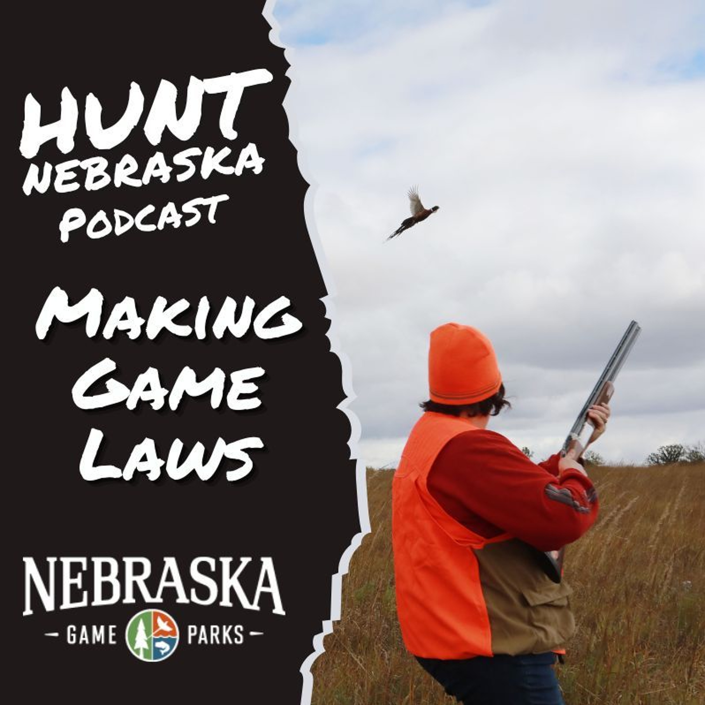 Regs: Making Game Laws