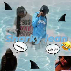 SharkyLeanShayXoticcxKeWalkemDown.m4a
