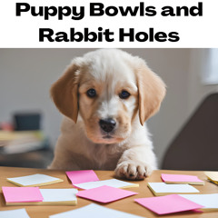 Puppy Bowls and Rabbit Holes