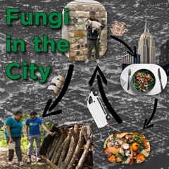 Episode 5 - Fungi In The City