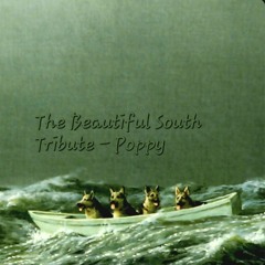 Poppy - The Beautiful South Tribute