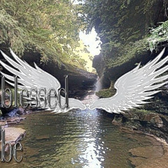 radi teba(wings)