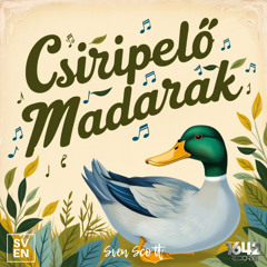 Sven Scott - Csiripelő madarak (Hardstyle mix) [FREE DL]