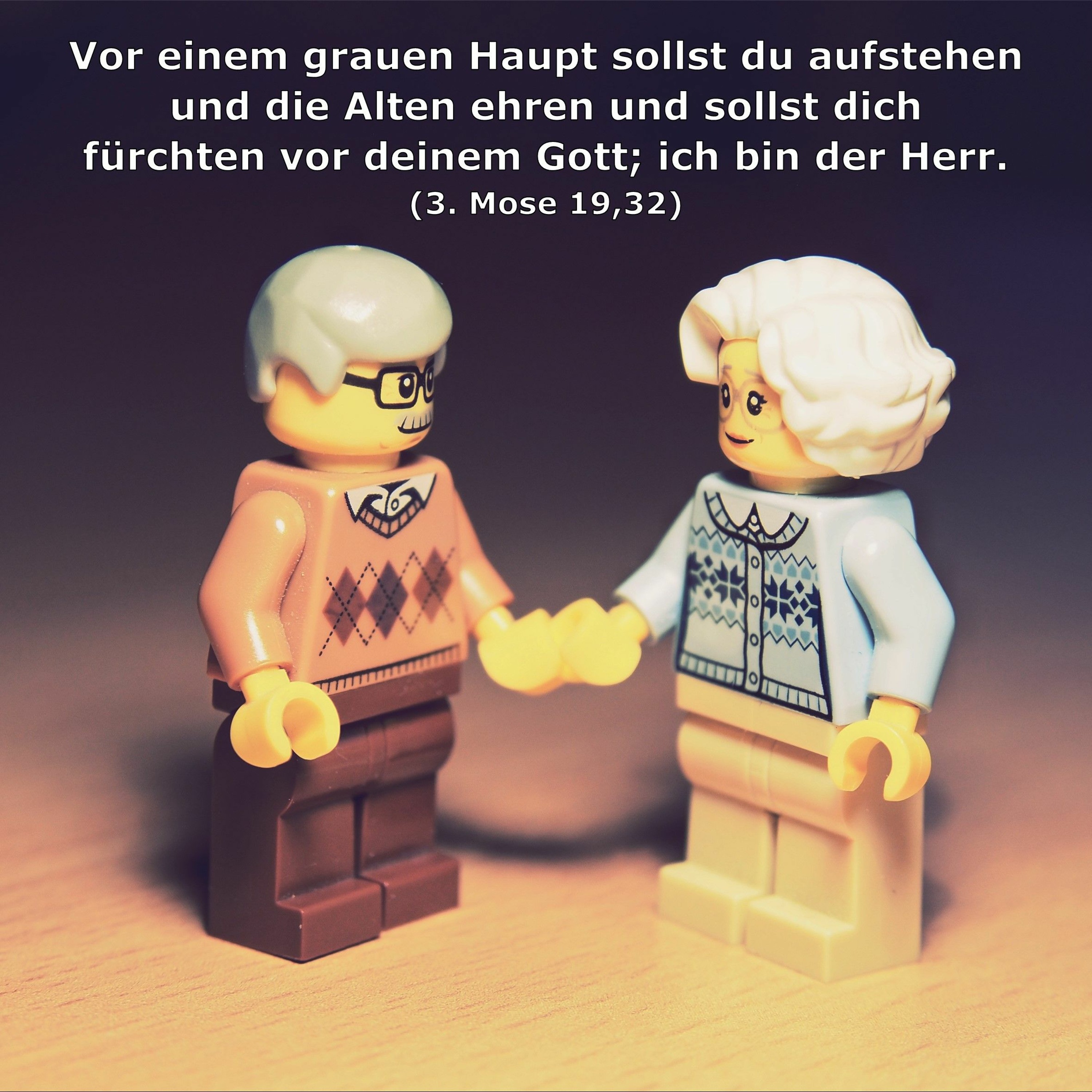 In einem Jahr durch die Bibel