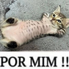 KOALA6 - LIMPE SUA MENTE X 170BPM ((DJ NICK DESGRASSADO DO ZAP))