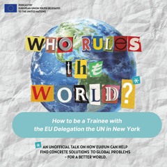 Episode 24 - How to be a Trainee with the EU Delegation the UN in New York