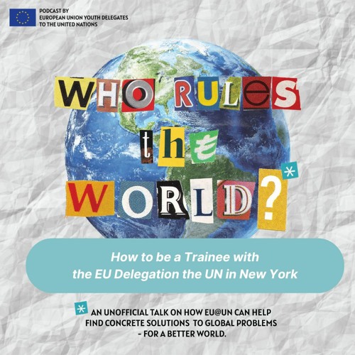 Episode 24 - How to be a Trainee with the EU Delegation the UN in New York