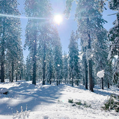 So let's go play in the snow!