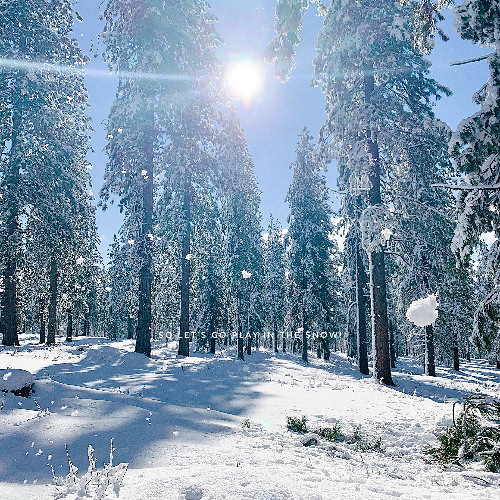 So let's go play in the snow!
