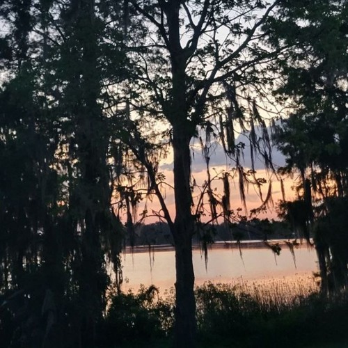 Summer 24' Clips (+Ertu, Alex Reid, Taylor Morgan, Rip.warheart, Prod Luke, Veilonme, Silversqq)