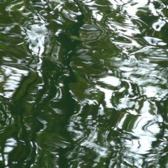 windwaterphone, violin 17.3.2021