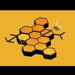 Honey Pot