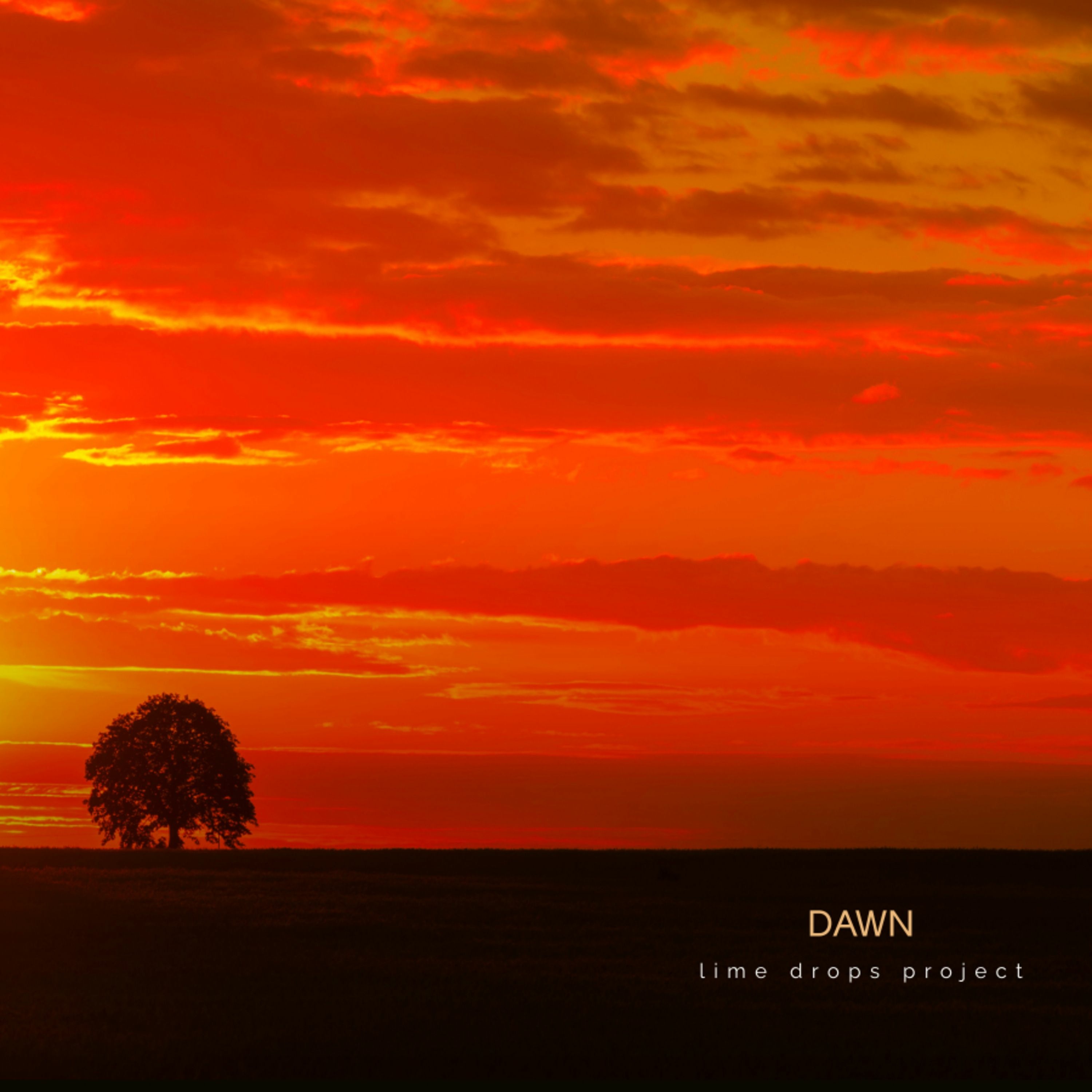 Dawn