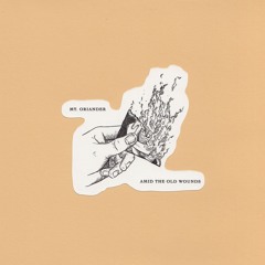 Amid The Old Wounds - Field Of View Digital