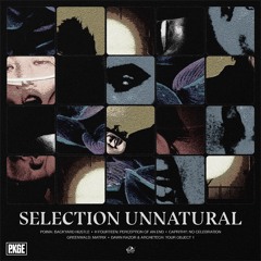PKGE004 - Selection Unnatural (v/a)