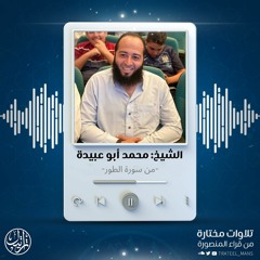 من سورة الطور | الشيخ محمد أبو عبيدة