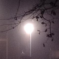 snow (wraithontheporch)