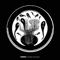 Fonzo • aenean