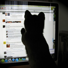 lol? i died at 13 and i never was 17 you delusional and stupid fuck