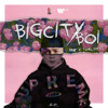 Bigcityboi (feat. Touliver)