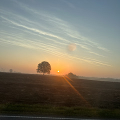 something in the orange (shitty cover)