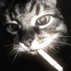 CIGARETTE BURNS