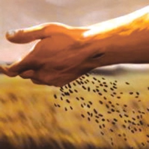 Stream 2nd November Sowing The Seed Of The Kingdom Of God By Leigh And Hindley Methodist Circuit Listen Online For Free On Soundcloud