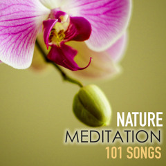 Nature Meditation 101 - Relaxing Serenity Spa Music of Relaxation, Zen Songs for Sound Therapy, Asian White Noise Sounds with New Age Ambience, Baby Deep Sleep Natural Ambient for Study, Massage and Hatha Yoga