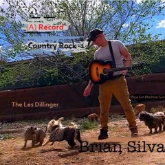 Country Rock 1 - the Les Dillinger