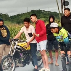 MANIS KEL KENA | EKEL KEMBAREN #SINGAKUTA #KINGLION