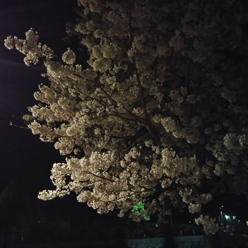 Stream 天使か悪魔か Beats By Type Ab By Curoru Listen Online For Free On Soundcloud Stream 天使か悪魔か Beats By Type Ab By Curoru Listen Online For Free On Soundcloud