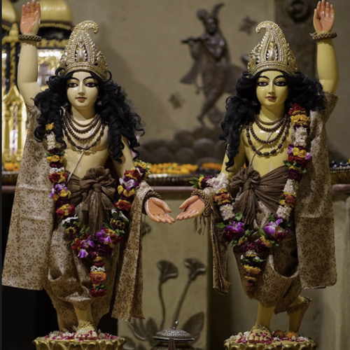 Abhay Buddhdev - SSP 18/05/24