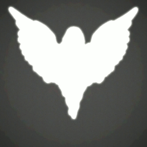 Run, Think, Shoot, Live w/ violetssky