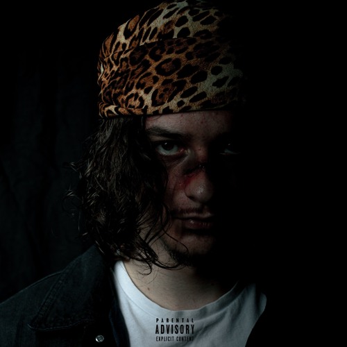 introduction (scars)