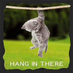 Hang In There - November 24, 2024