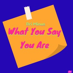 Bri Minus - What You Say You Are