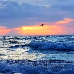 Jenn Akkinson presents - Relax Your Mind (Chillout Sessions) - Volume One
