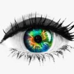 Alex Grey - Big Brother Pitch