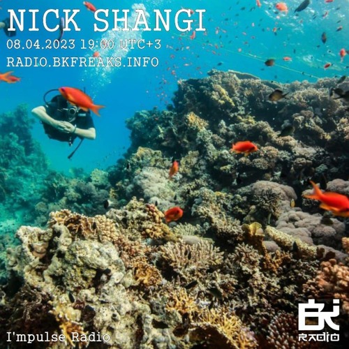 Nick Shangi Podcast IMPLS #71 (April 2023)