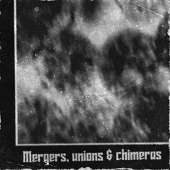 Can't do diamonds (Birdy Nam Nam x Bagarre)