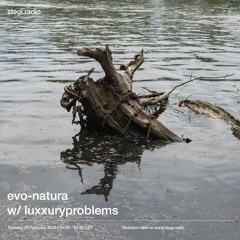 Stegi | evo-natura with luxxurproblems ― 25th February 2025