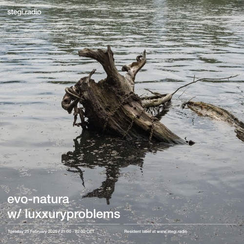 Stegi | evo-natura with luxxurproblems ― 25th February 2025