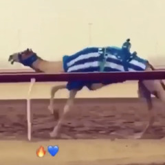 ‎⁨ميدان الشحانيه اداء صالح المانعه⁩