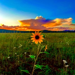 Playa Pleasantry (mix)