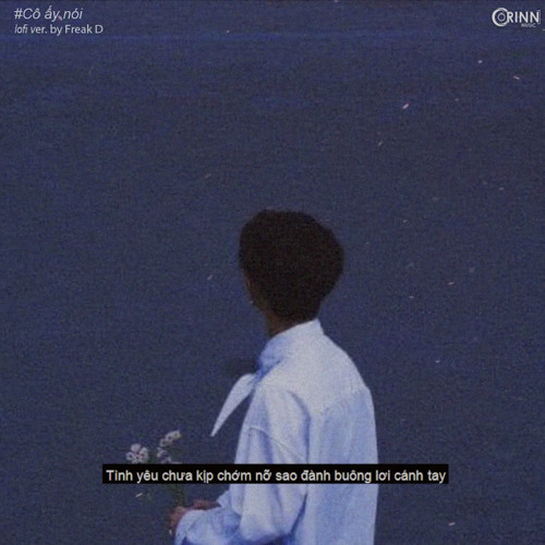 Cô Ấy Nói (Lofi Ver.) Ngô Anh Đạt x Freak D