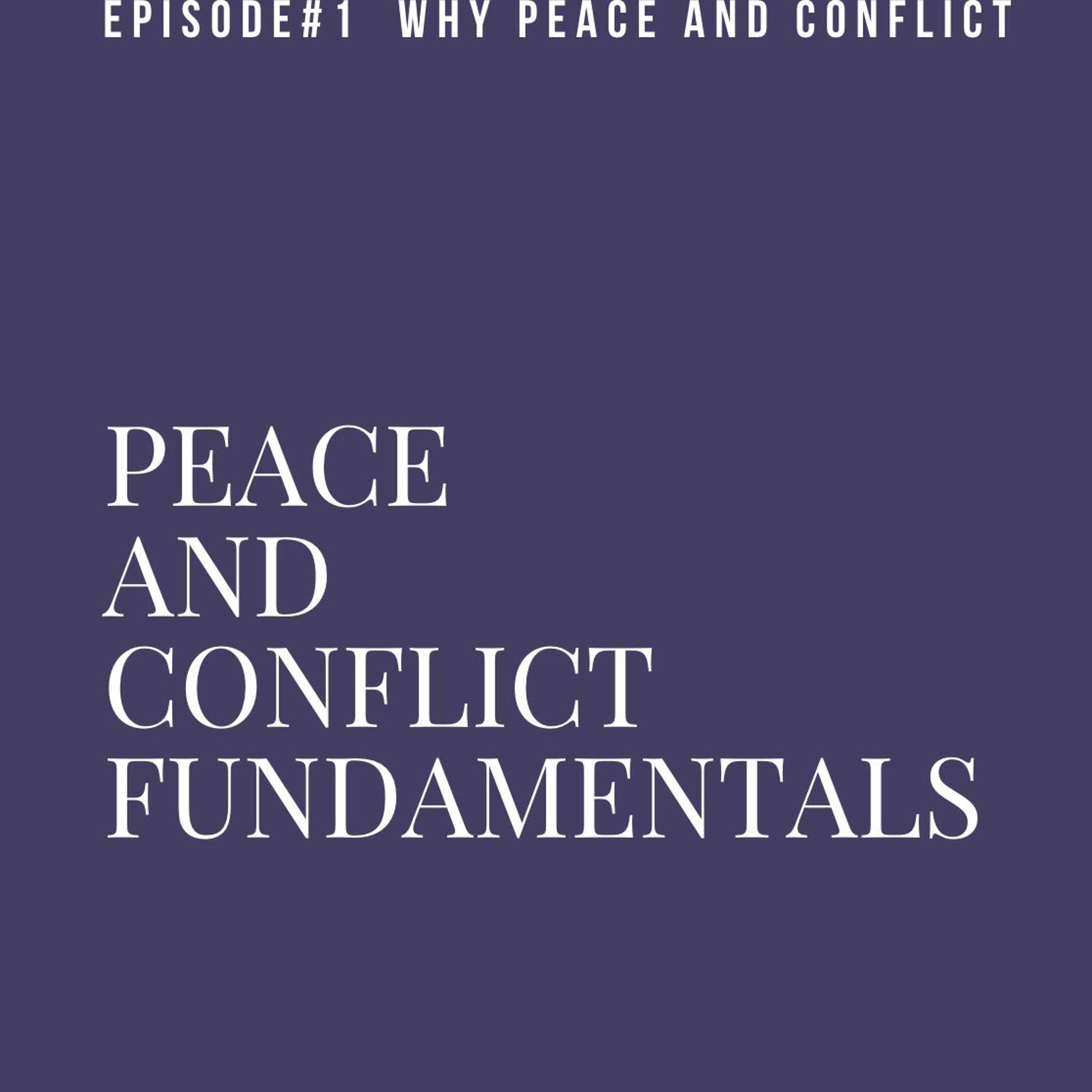 Peace and Conflict Fundamentals