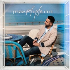דודו אהרון - חלון לים